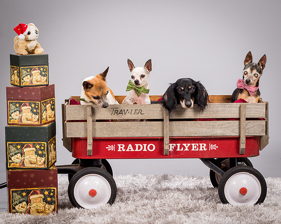 Foster Hospice Gang-3902