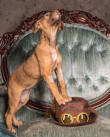 Foster Bronwyn-8273