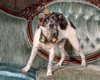 Foster Billie-8130