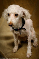 Foster Loretta-0235
