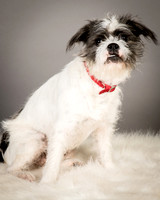 Foster Leeza-2546