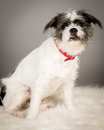 Foster Leeza-2546