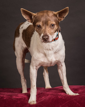 Foster Gus-0385