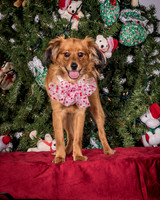 Foster Elyse-3841