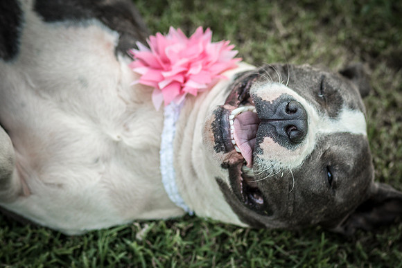 Foster Maya-0302