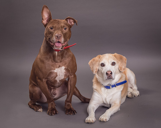 Red and Max Griner-7632