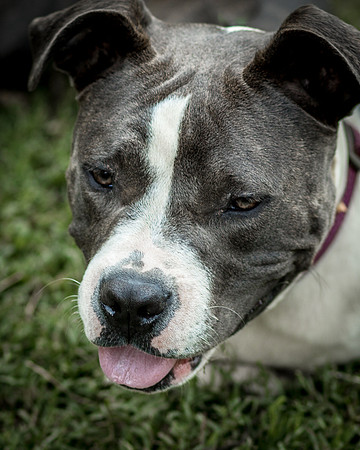 Foster Maya-0288