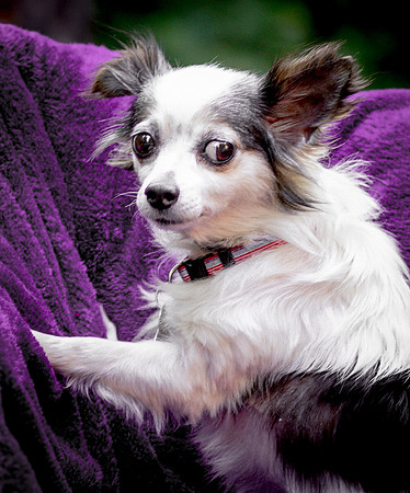 Foster Anouk-8773