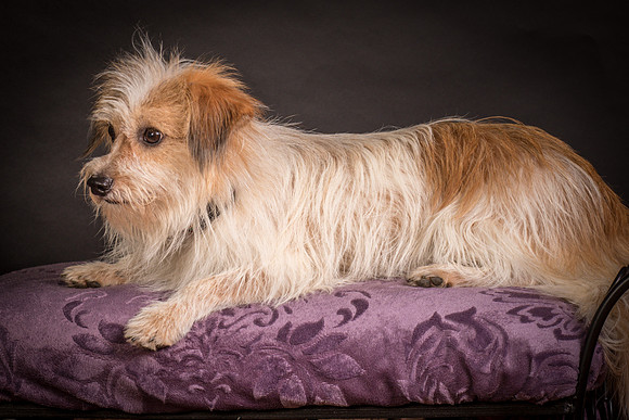 Foster Tiny-1432