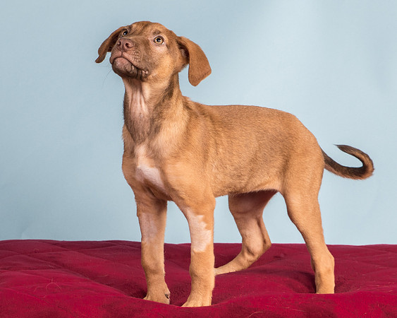 Foster Bronwyn-8385