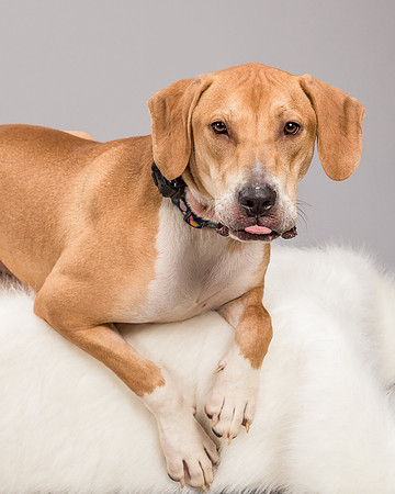 Foster Troy-6306