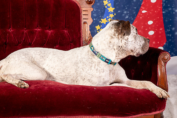 Foster Sylvester-0959