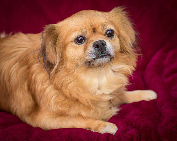 Foster Tia Maria-7947