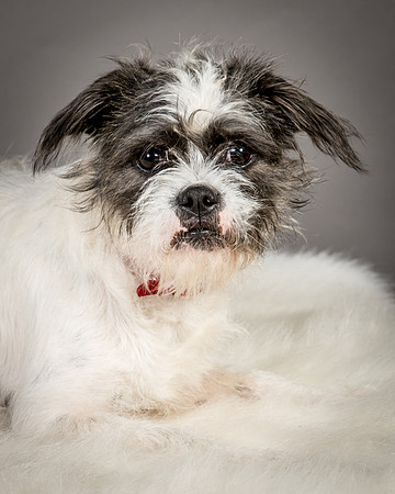 Foster Leeza-2574