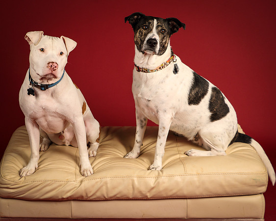 Grace and Mello-5363