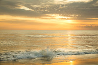 OBX-5017