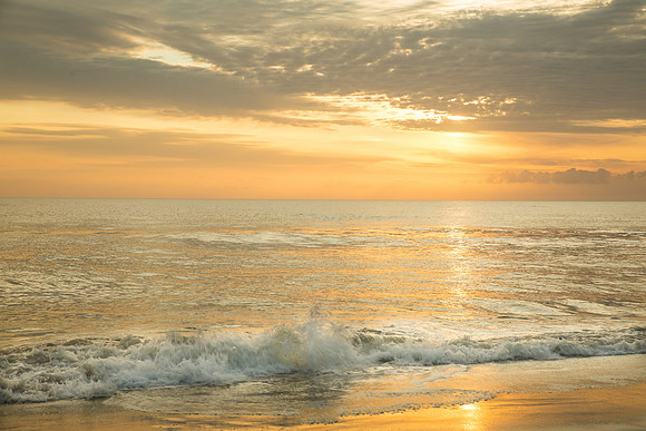 OBX-5017