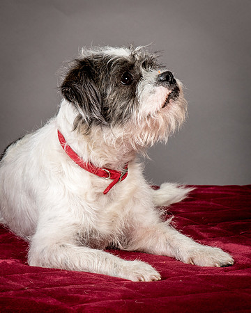 Foster Leeza-2729