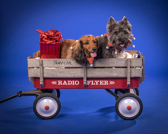 Sauls-Brodie and Baxter-5591