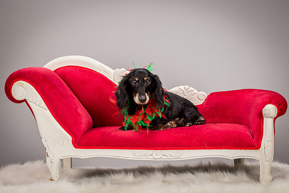 Foster Bernice-3773