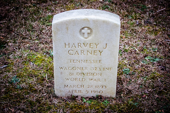 Carney-3658