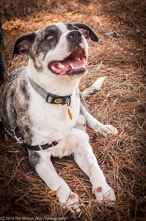 Foster Louie-9712