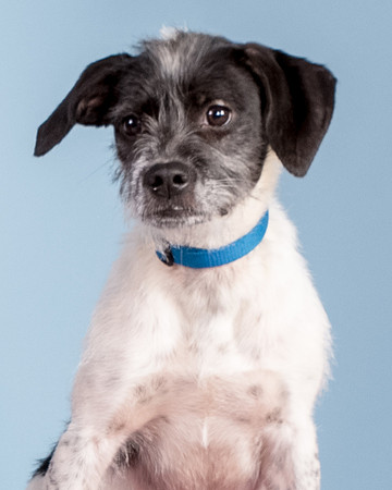 Foster Billie-8180