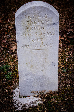 Carney-3575