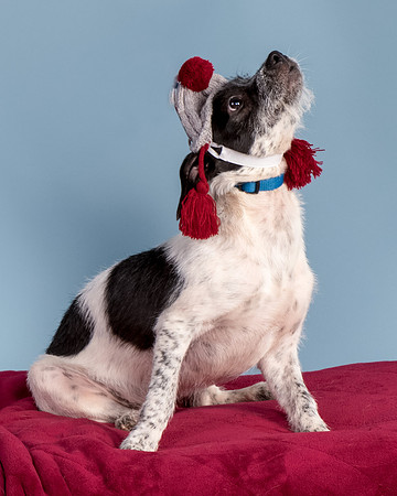 Foster Billie-8253