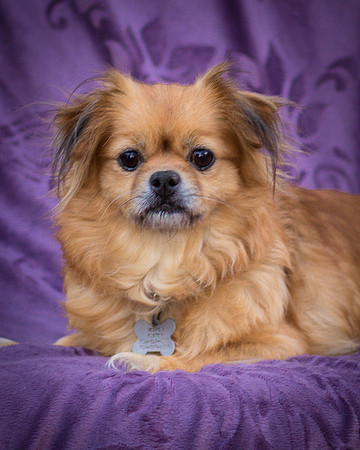 Foster Tia Maria-7847