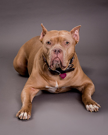 Maggie Griner-7528