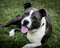 Foster Maya-0233