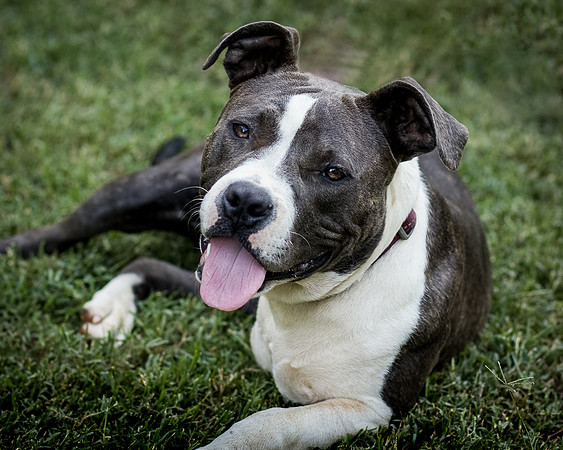 Foster Maya-0233