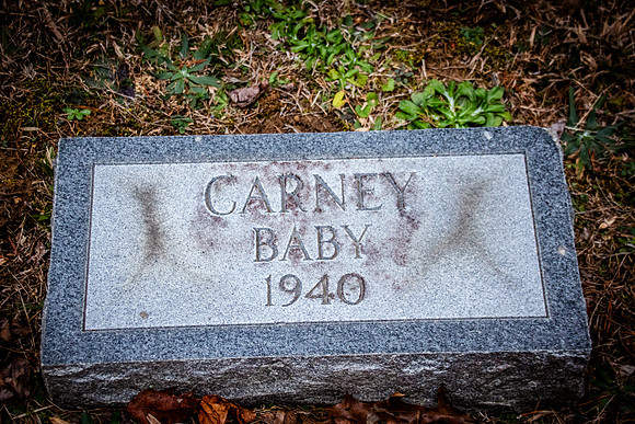 Carney-3652