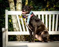 Talley-0962