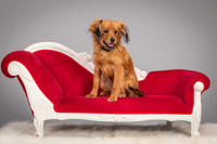 Foster Elyse-3763