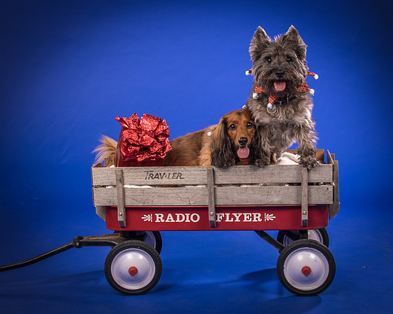 Sauls-Brodie and Baxter-5602