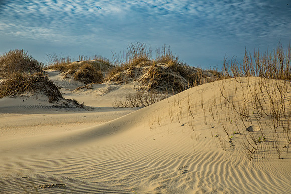 OBX-5261