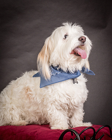 Foster Frosty-0567