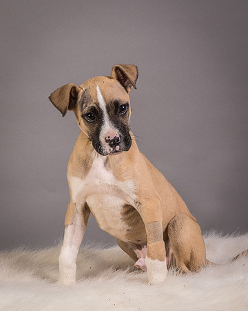 Foster Barnabas-4573
