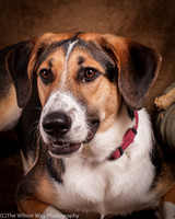 Molly-4425
