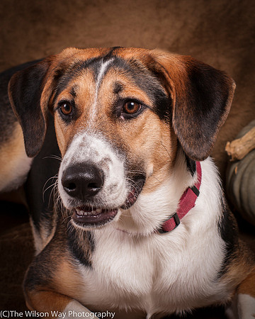 Molly-4425