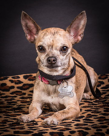 Foster Selina-1214