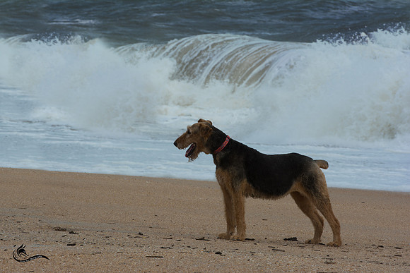 layla posing on her birthday saint augustine-2914