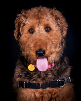 Dixie Lou-5633