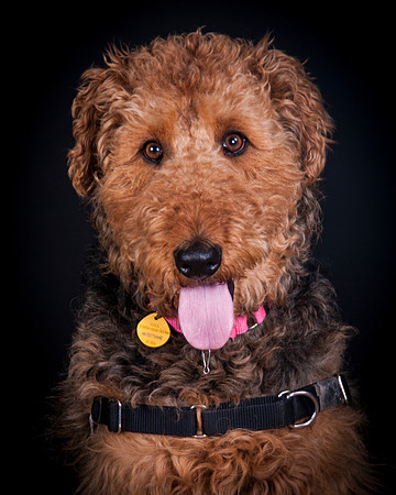 Dixie Lou-5633