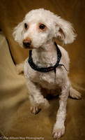 Foster Loretta-0217