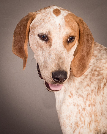Foster Memphis-3070