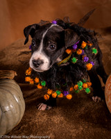 Foster Bennett-6291