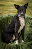 Foster Maynard-9122